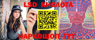 мяу мяу мука Будённовск