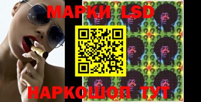 мяу мяу мука Будённовск