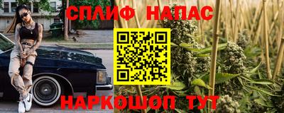 мяу мяу мука Будённовск
