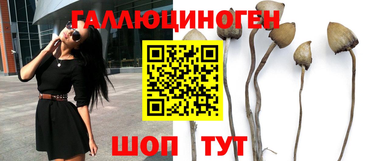 Михайловск  Псилоцибиновые грибы мицелий  Вход с VPN 